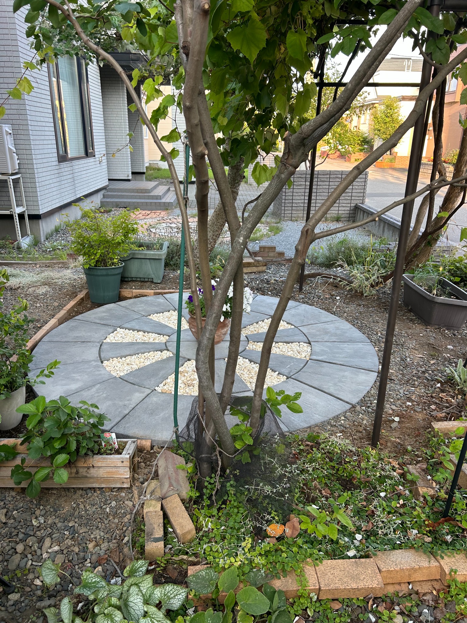 札幌市清田区A様邸 庭リフォーム施工後