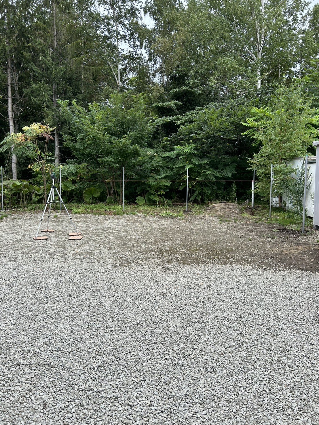人工芝施工前